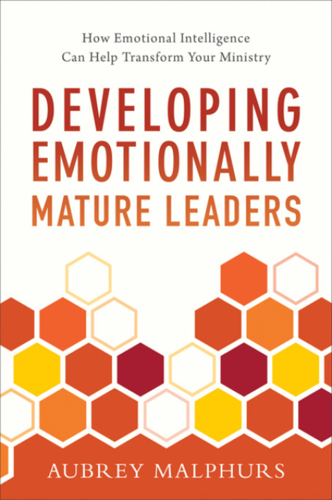 Cover image for book Developing Emotionally Mature Leaders
