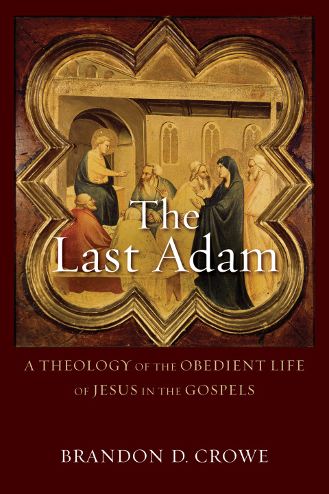 Cover image for book The Last Adam