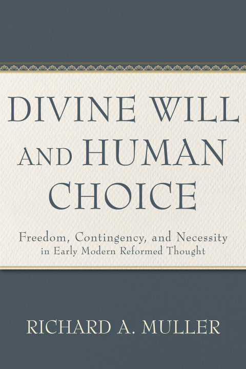 Cover image for book Divine Will and Human Choice
