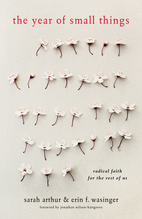 Cover image for book The Year of Small Things