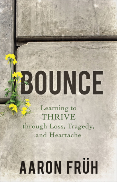 Cover image for book Bounce