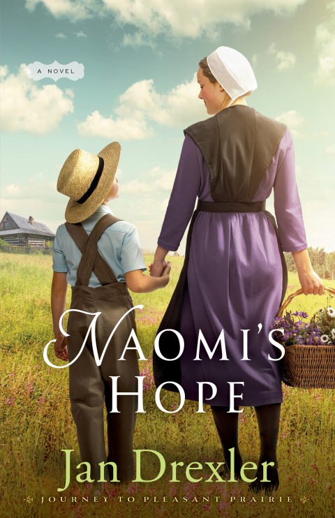 Cover image for book Naomi's Hope