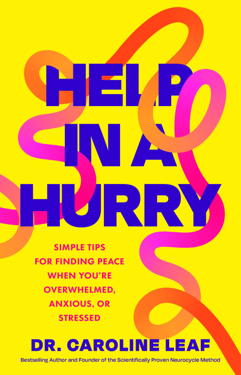 Cover image for book Help in a Hurry