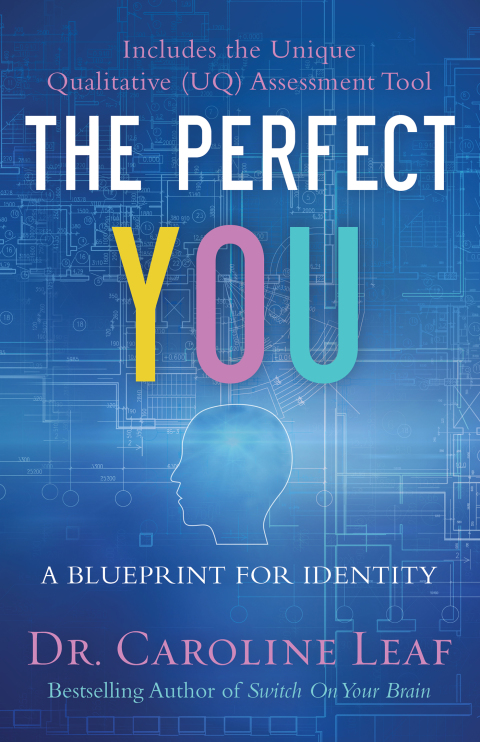 Cover image for book The Perfect You