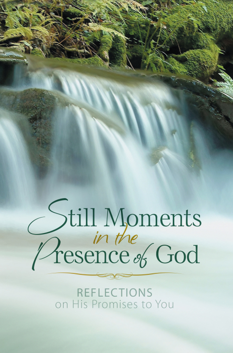 Cover image for book Still Moments in the Presence of God