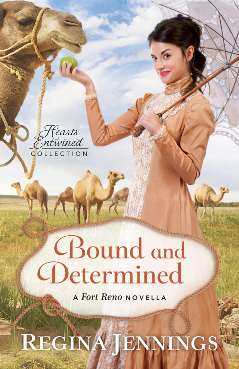 Cover image for book Bound and Determined