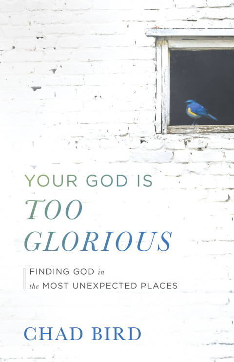 Cover image for book Your God Is Too Glorious