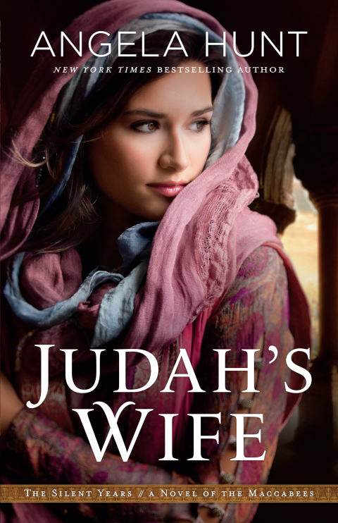 Cover image for book Judah's Wife