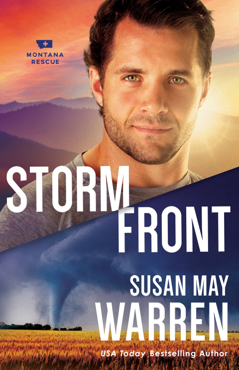 Cover image for book Storm Front