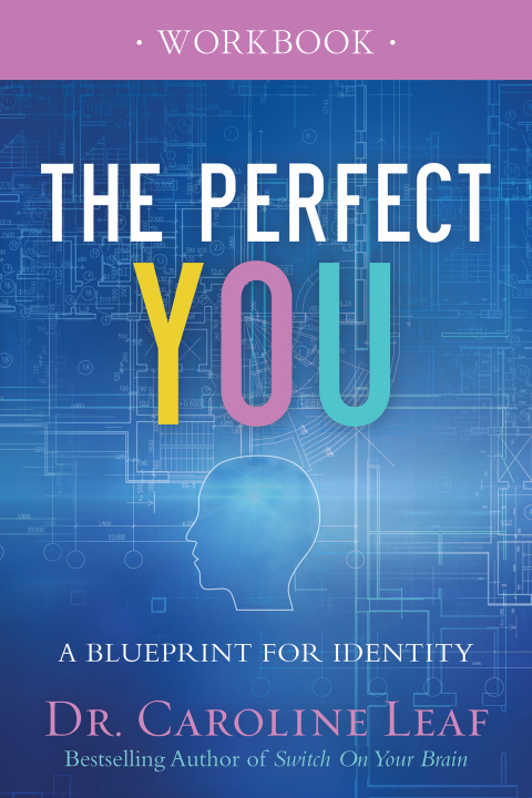 Cover image for book The Perfect You Workbook