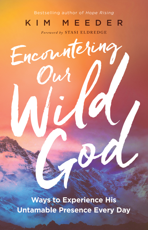 Cover image for book Encountering Our Wild God