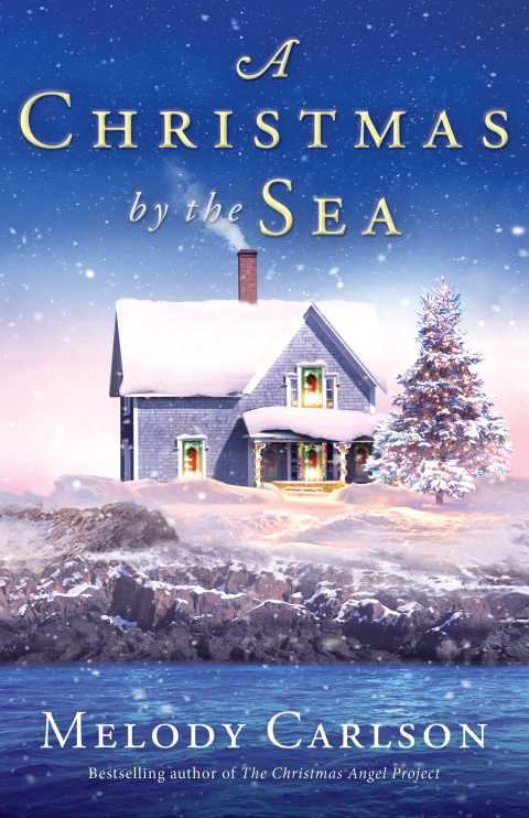 Cover image for book A Christmas by the Sea