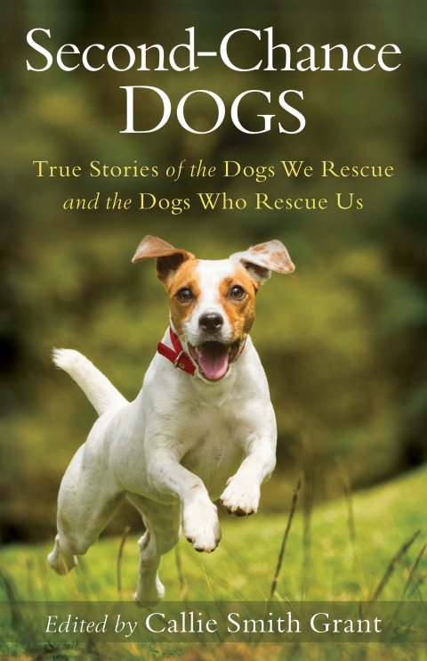 Cover image for book Second-Chance Dogs