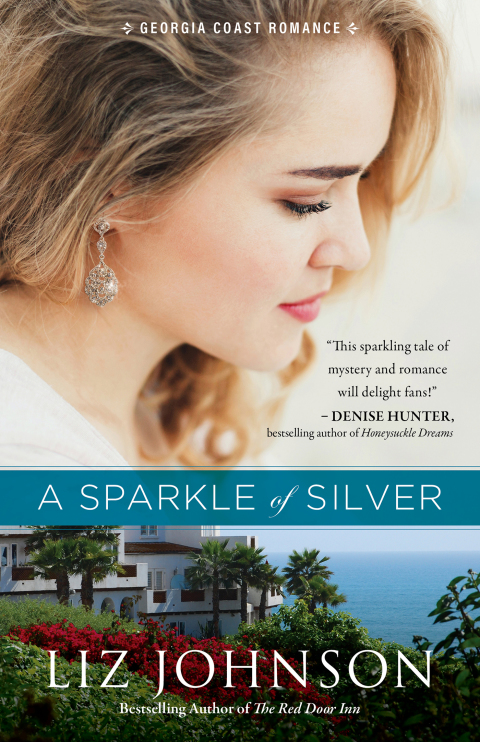 Cover image for book A Sparkle of Silver
