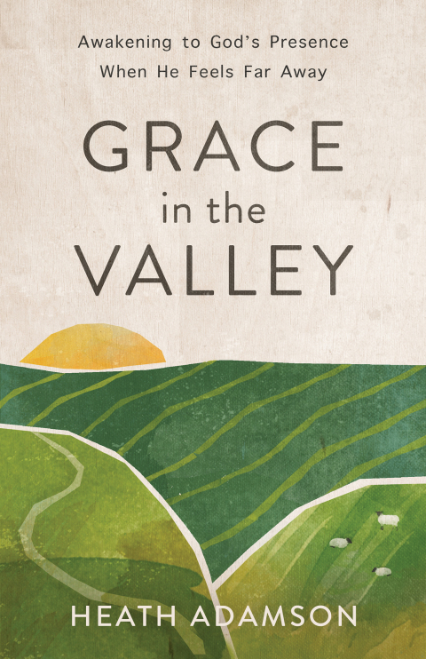 Cover image for book Grace in the Valley