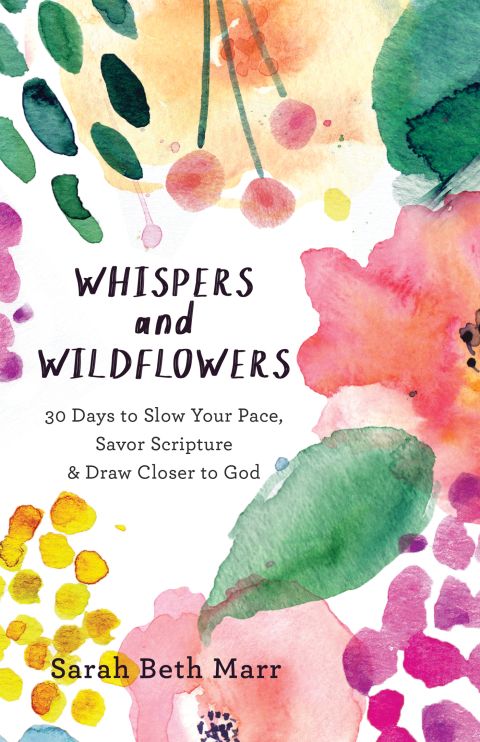 Cover image for book Whispers and Wildflowers