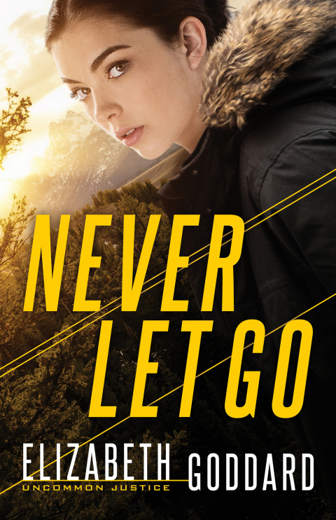 Cover image for book Never Let Go