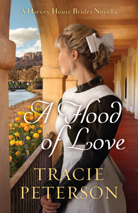 Cover image for book A Harvey House Brides Novella