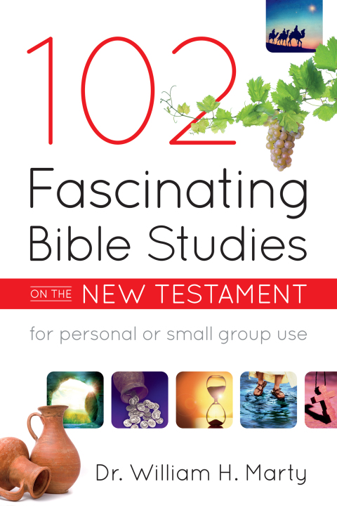 Cover image for book 102 Fascinating Bible Studies on the New Testament