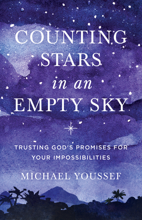 Cover image for book Counting Stars in an Empty Sky