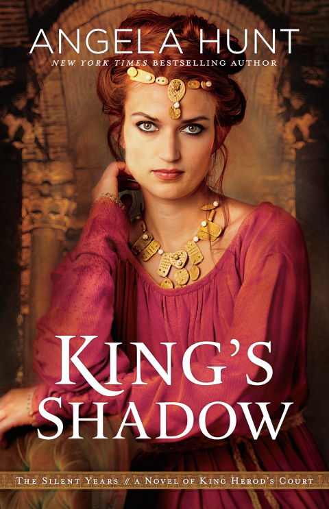 Cover image for book King's Shadow