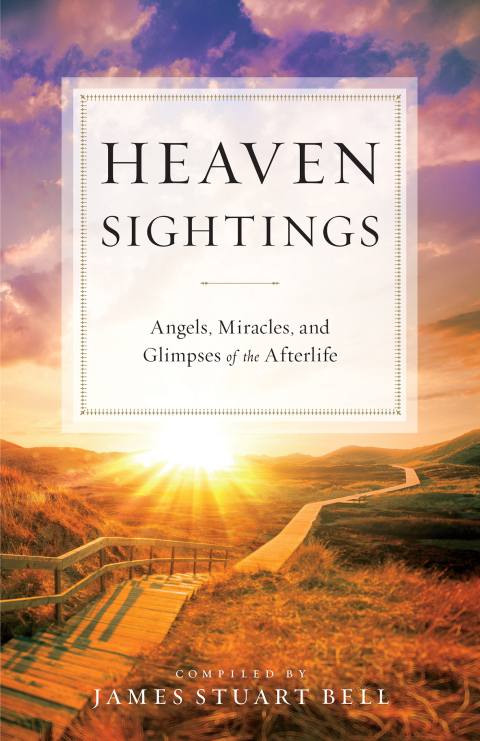 Cover image for book Heaven Sightings
