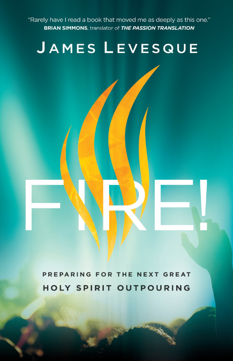 Cover image for book Fire!