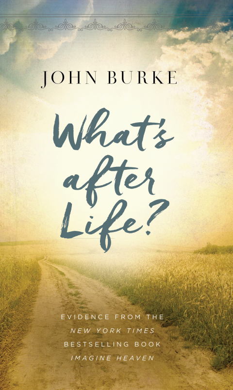 Cover image for book What's after Life?