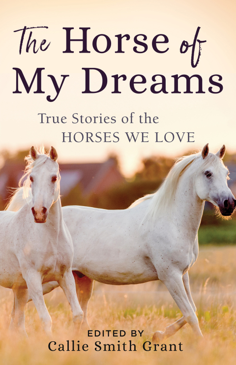 Cover image for book The Horse of My Dreams