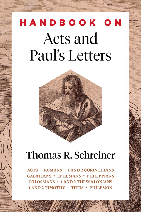 Cover image for book Handbook on Acts and Paul's Letters