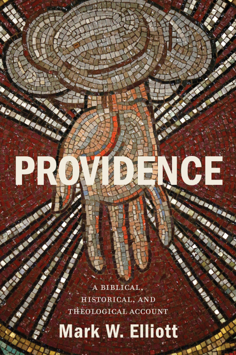Cover image for book Providence
