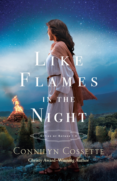 Cover image for book Like Flames in the Night