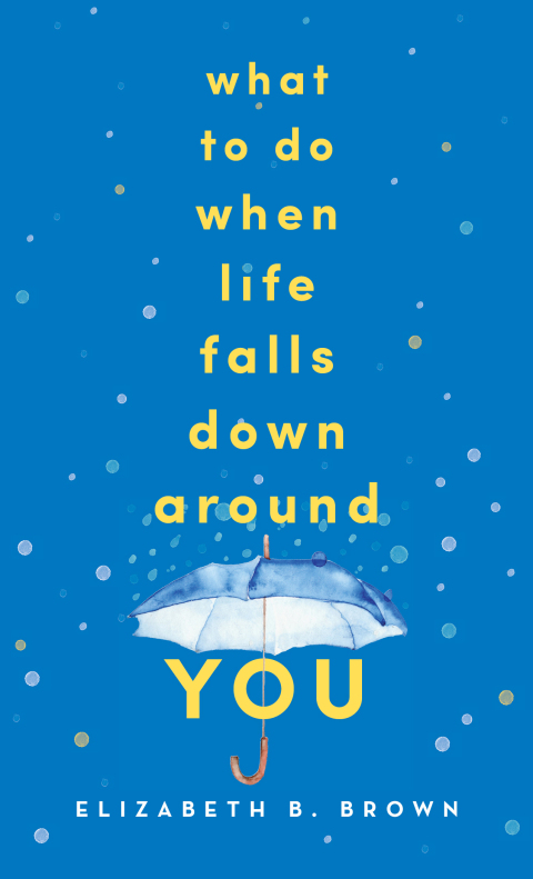 Cover image for book What to Do When Life Falls Down Around You