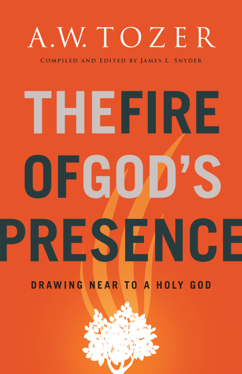 Cover image for book The Fire of God's Presence