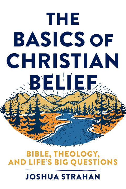 Cover image for book The Basics of Christian Belief