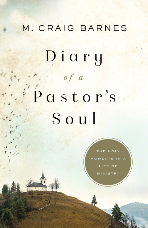 Cover image for book Diary of a Pastor's Soul