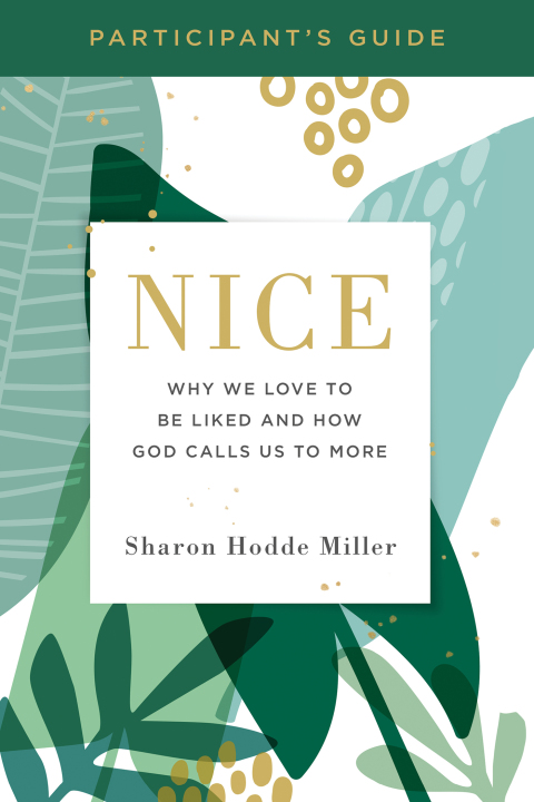 Cover image for book Nice Participant's Guide