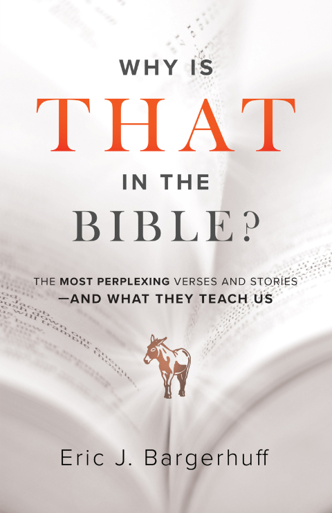 Cover image for book Why Is That in the Bible?