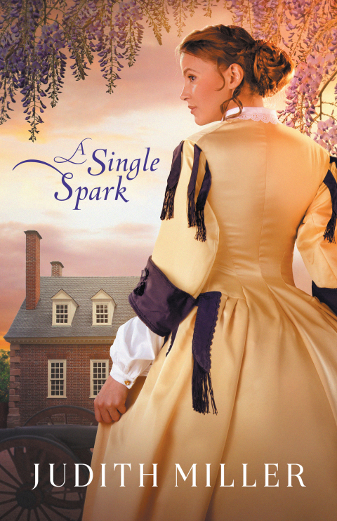 Cover image for book A Single Spark