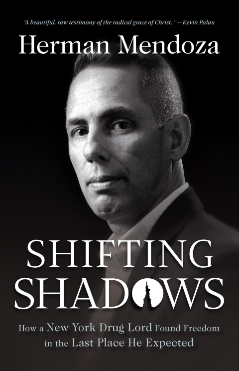 Cover image for book Shifting Shadows