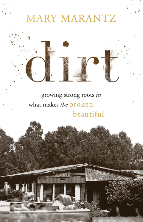Cover image for book Dirt