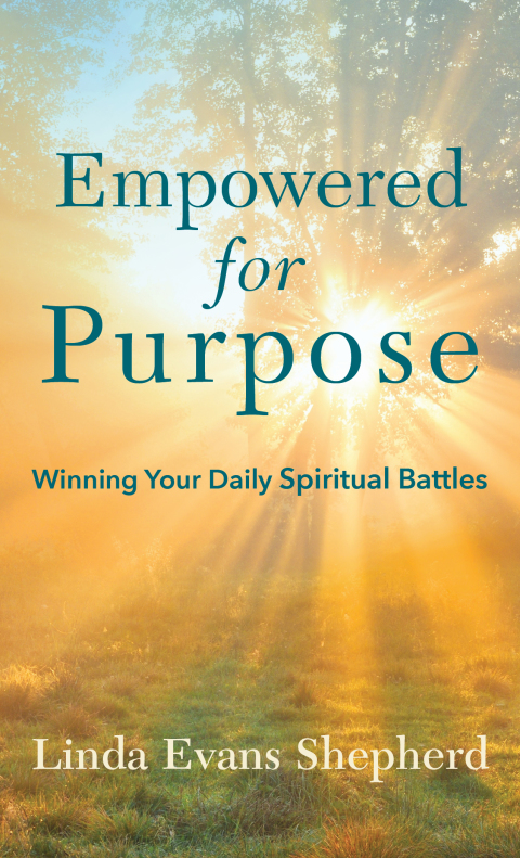 Cover image for book Empowered for Purpose