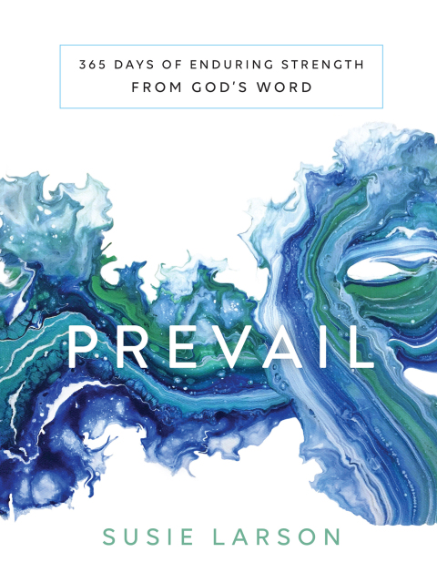 Cover image for book Prevail