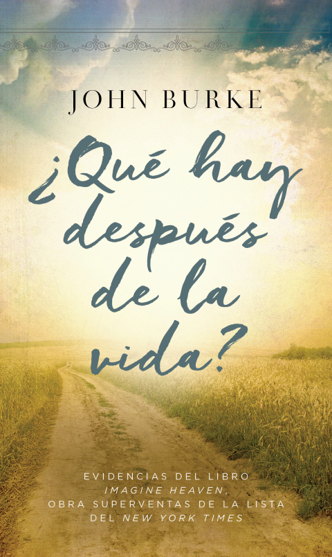 Cover image for book ¿Qué hay después de la vida?
