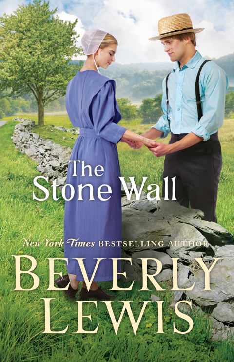Cover image for book The Stone Wall