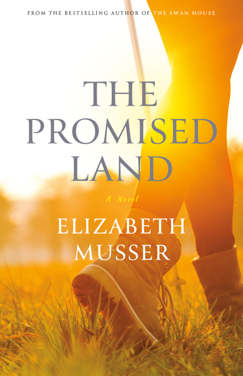 Cover image for book The Promised Land