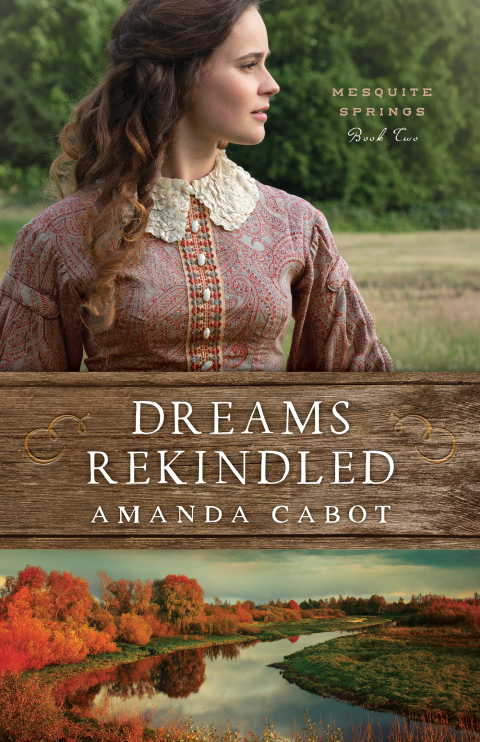 Cover image for book Dreams Rekindled
