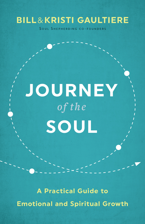 Cover image for book Journey of the Soul