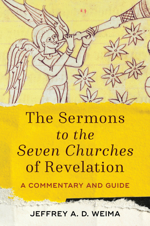 Cover image for book The Sermons to the Seven Churches of Revelation
