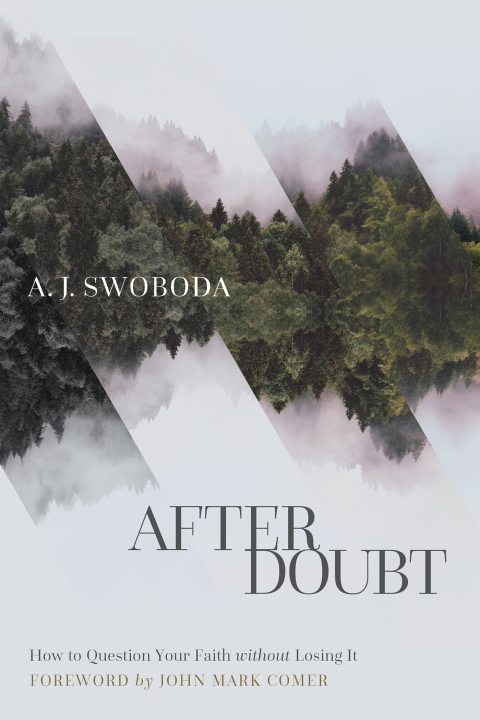 Cover image for book After Doubt